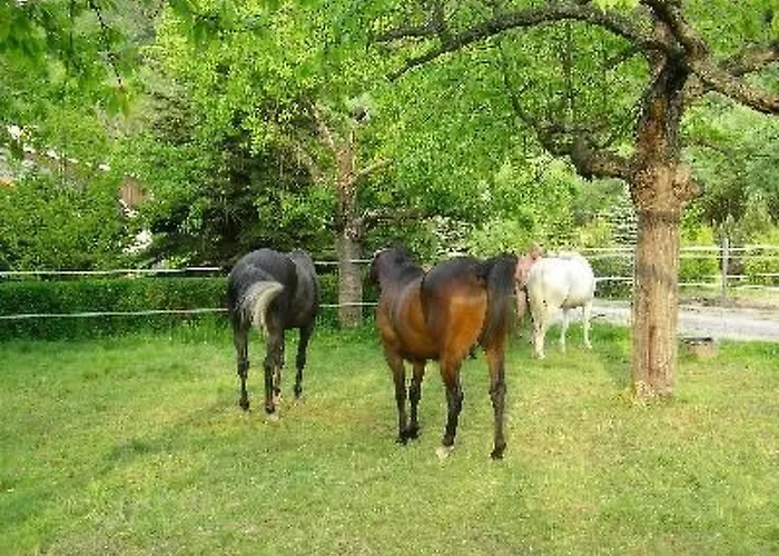 Silberbach Ii By Interhome Semesterbostad *